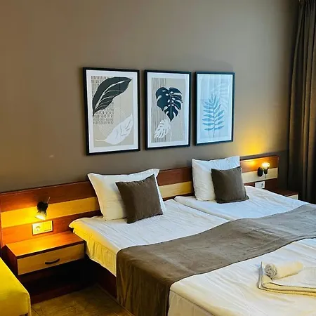 Отель Queen Nelly