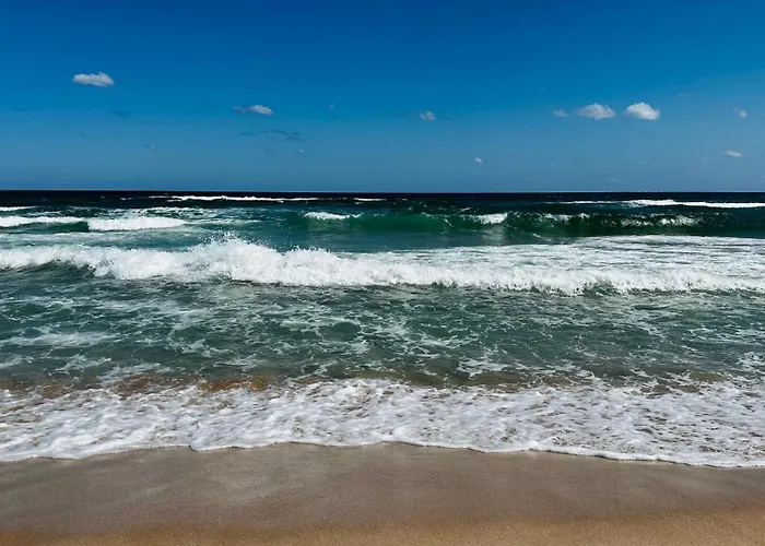 Queen Nelly 4* Πριμόρσκο