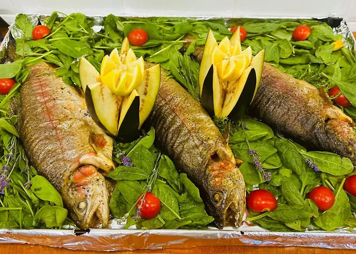 Queen Nelly Πριμόρσκο