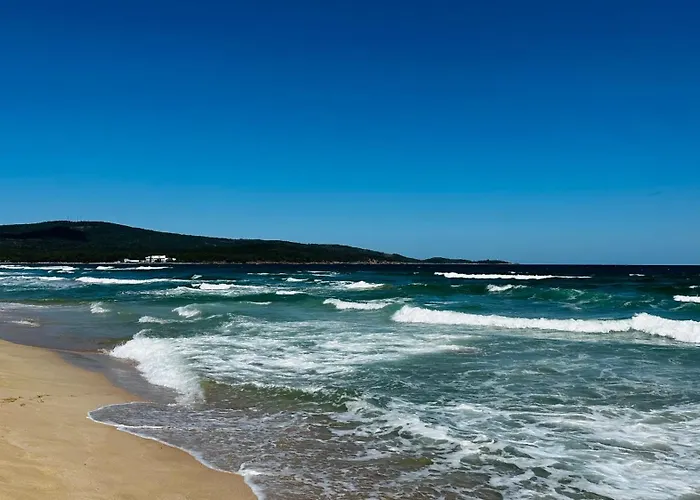 Queen Nelly 4* 프리모르스코